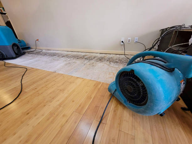 Professional Water Removal technician working in Wilkesville, OH